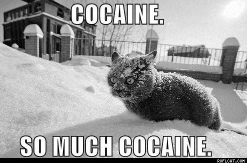 Cocaine_So_Much_Cocaine.webp