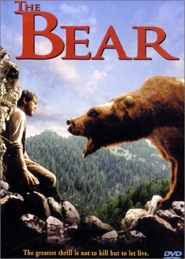 The+Bear.webp