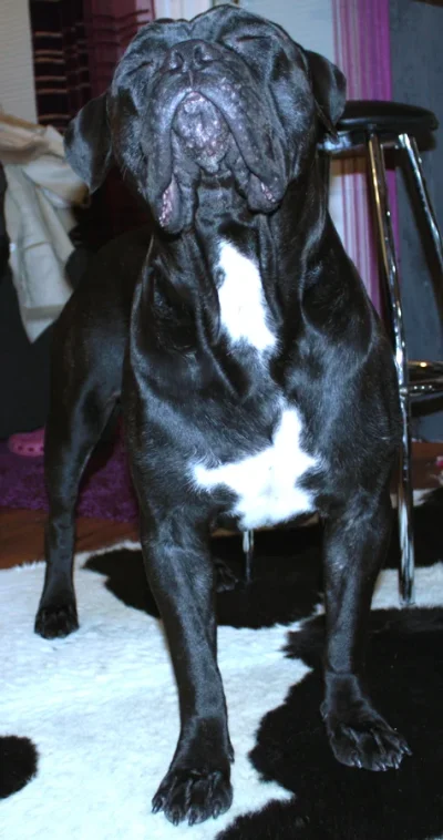 naatiskelu.webp naatiskelu.webp