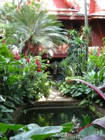 Jim Thompson garden, Bangkok 29122011.JPG