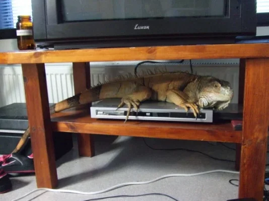 2010_05210007.webp 2010_05210007.webp