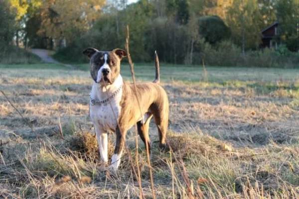 400013_10150628443243539_642293538_8823051_967185777_n.webp 400013_10150628443243539_642293538_8823051_967185777_n.webp