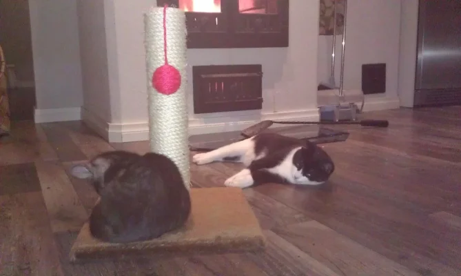 IMAG0071.webp IMAG0071.webp