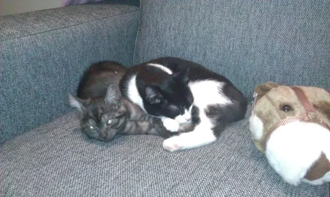 IMAG0072.webp IMAG0072.webp