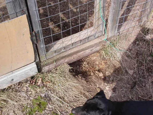 Karussa S-veli.webp Karussa S-veli.webp