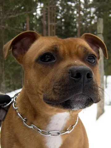 IMG_0096 (Copy).webp