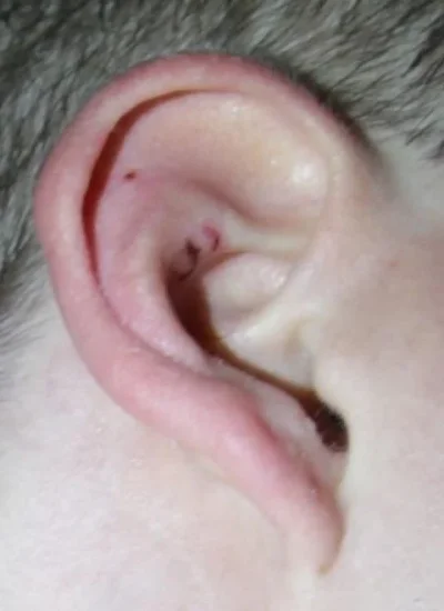 405188_10150559040844695_684484694_8771939_992024776_n.webp 405188_10150559040844695_684484694_8771939_992024776_n.webp