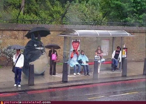 wtf-photos-videos-meanwhile-at-the-bus-stop.webp