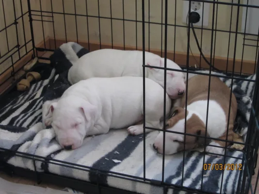 IMG_0839.webp IMG_0839.webp