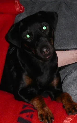 Nimetön-1 kopio.webp Nimetön-1 kopio.webp