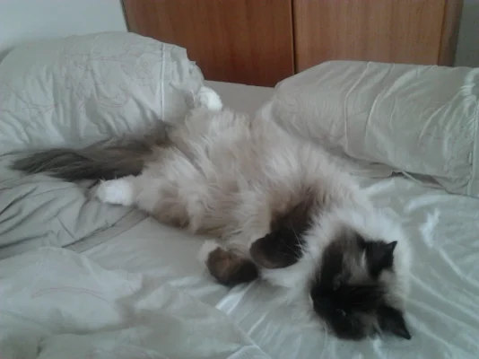 2012-03-10 10.34.59.webp