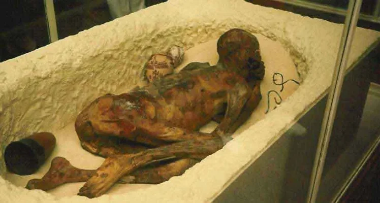 egyptian-mummy-3.webp