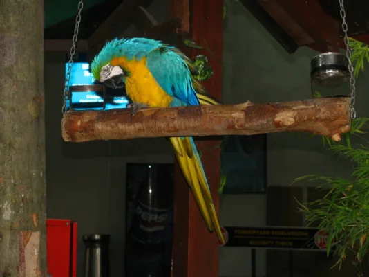 1742012.webp 1742012.webp