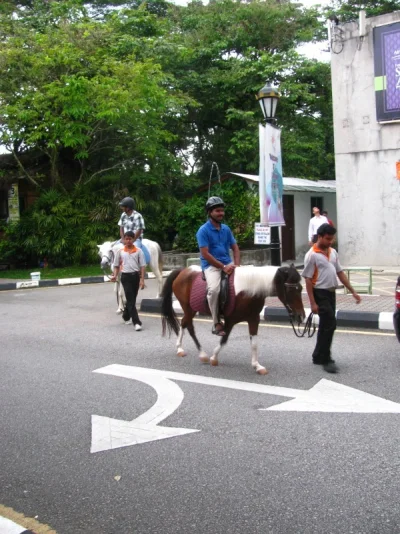 1742012136.webp 1742012136.webp