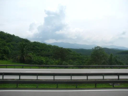 19_2042012090.webp 19_2042012090.webp