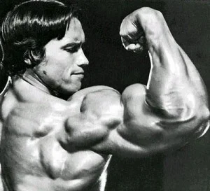 arnold-schwarzenegger-bodybuilding-outside-arm-300x273.webp