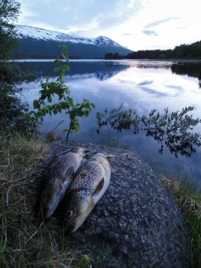 DSC00598 (600x800).webp DSC00598 (600x800).webp