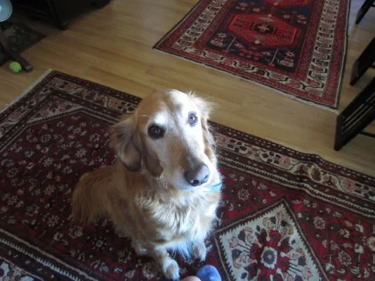 California 2012 073 (640x480).webp California 2012 073 (640x480).webp