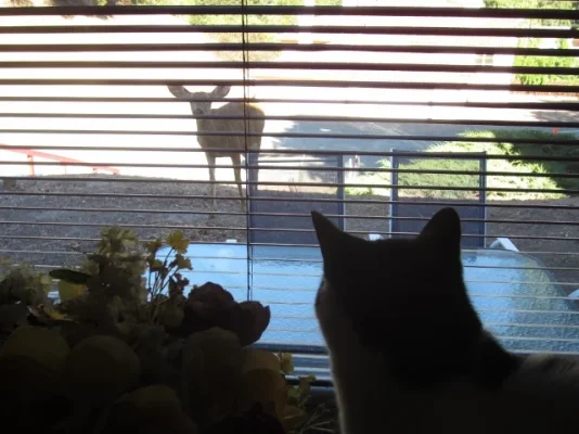 California 2012 056 (640x480).webp California 2012 056 (640x480).webp