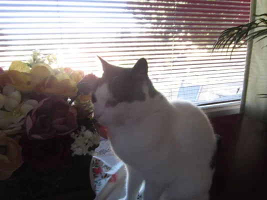 California 2012 059 (640x480).webp California 2012 059 (640x480).webp