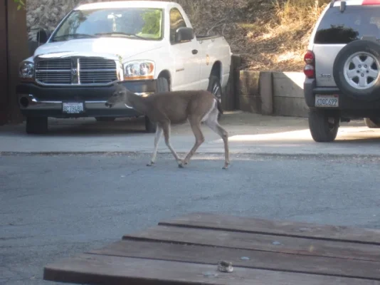 California 2012 062 (640x480).webp California 2012 062 (640x480).webp