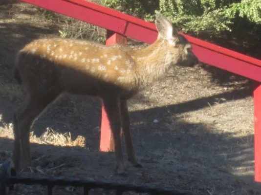 California 2012 071 (640x480).webp California 2012 071 (640x480).webp