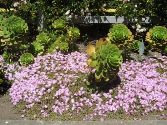 California 2012 180 (640x480).webp California 2012 180 (640x480).webp