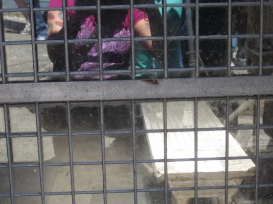 California 2012 194 (640x480).webp California 2012 194 (640x480).webp