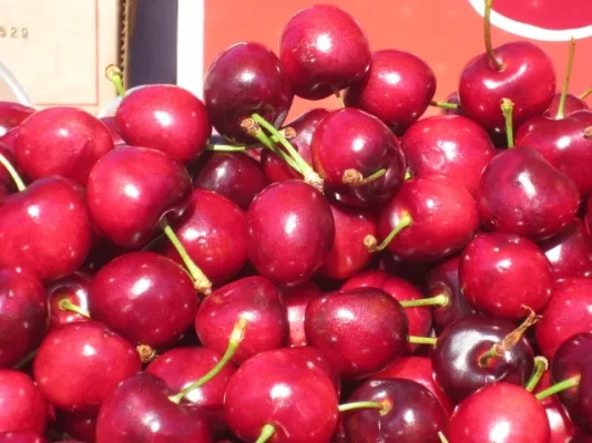 California 2012 247 (640x480).webp California 2012 247 (640x480).webp