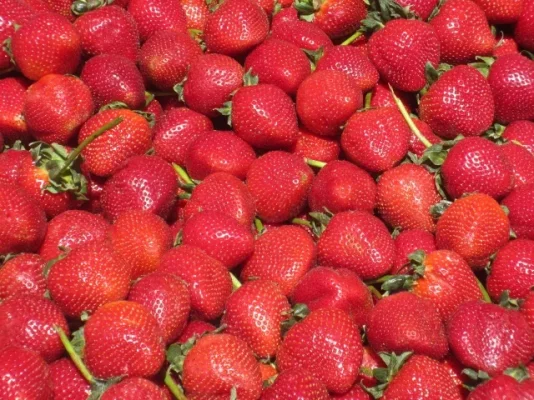 California 2012 252 (640x480).webp California 2012 252 (640x480).webp