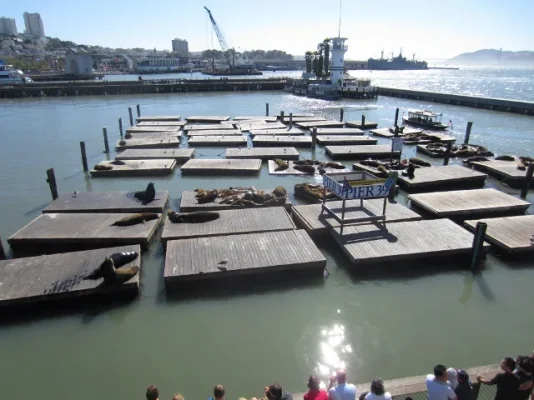 California 2012 256 (640x480).webp California 2012 256 (640x480).webp