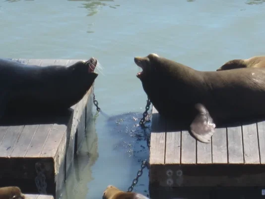 California 2012 258 (640x480).webp California 2012 258 (640x480).webp