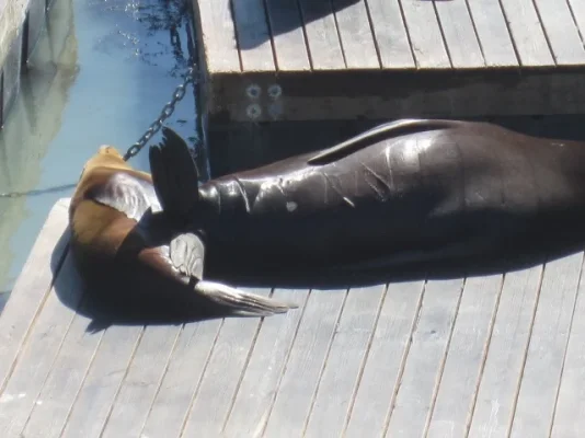 California 2012 260 (640x480).webp California 2012 260 (640x480).webp