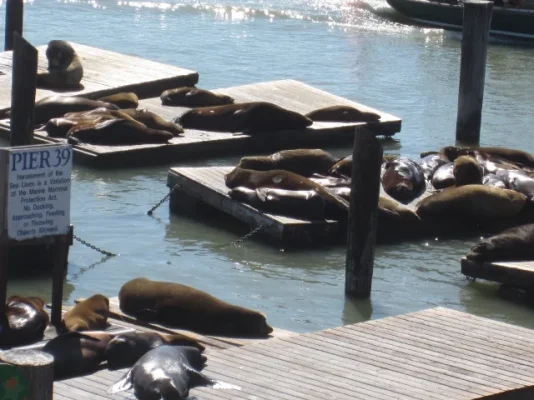 California 2012 261 (640x480).webp California 2012 261 (640x480).webp