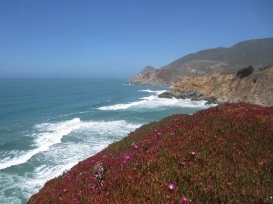 California 2012 292 (640x480).webp California 2012 292 (640x480).webp