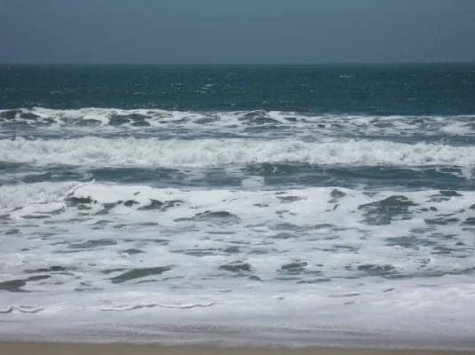 California 2012 307 (640x480).webp California 2012 307 (640x480).webp