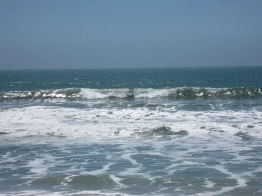 California 2012 309 (640x480).webp California 2012 309 (640x480).webp