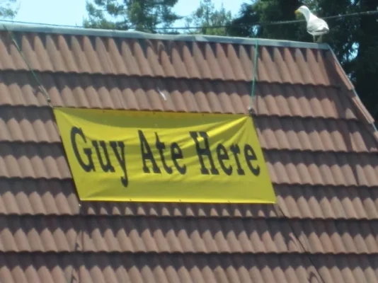 California 2012 342 (640x480).webp California 2012 342 (640x480).webp