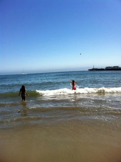 224871_10150838100445834_1845987954_n (478x640).webp 224871_10150838100445834_1845987954_n (478x640).webp