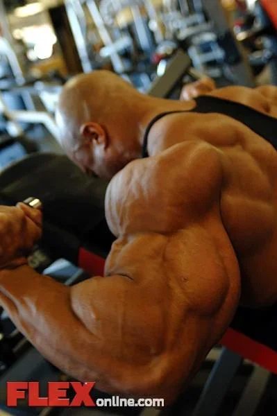 flexphotoshoot.webp flexphotoshoot.webp