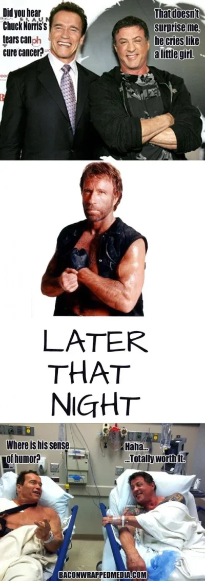 chuck-norris-facts-arnold-and-sylvester.webp