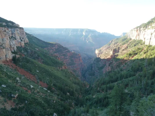 canyon3.webp