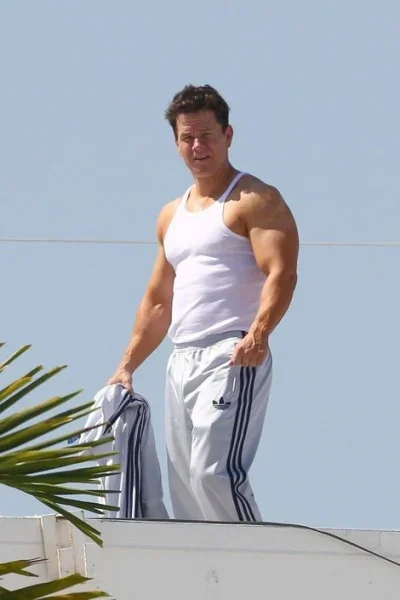 mark-wahlberg-pain-and-gain-image1-400x600.webp