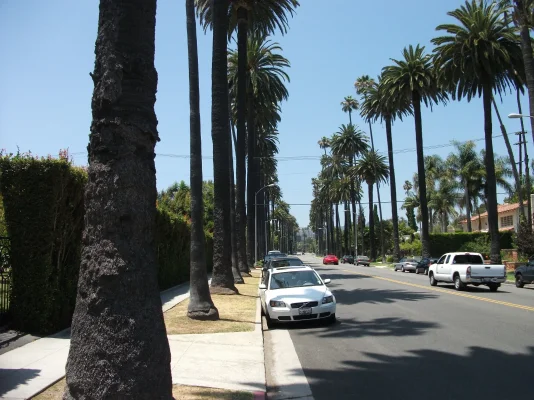 Beverly Hills.webp