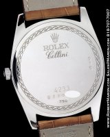 RXCELLINI4233-04.jpg