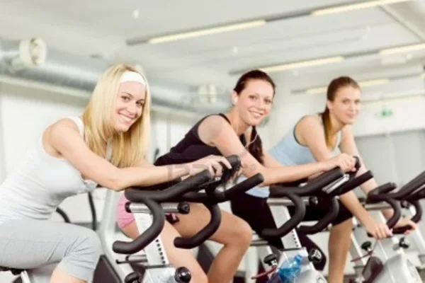 Layla, Jennuli ja Wiih.webp Layla, Jennuli ja Wiih.webp