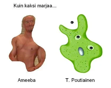 KUIN KAKSI MARJAA.webp