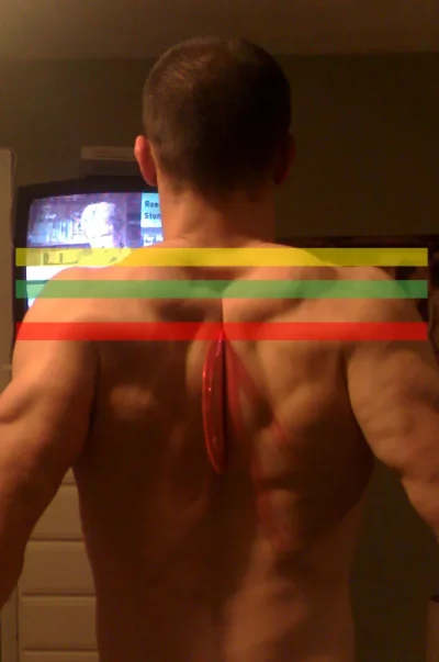 squatbarplacement.webp squatbarplacement.webp