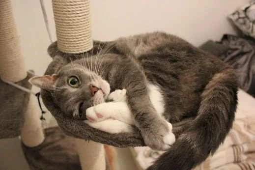 Reino Tähkä_pieni.webp