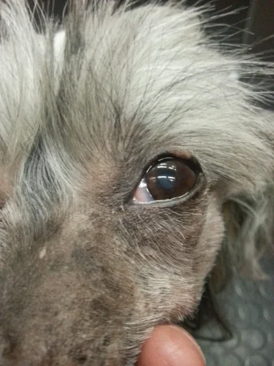 hauwa.webp hauwa.webp